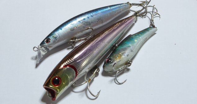 Daiwa : SHORELINE SHINER Z 97F Daiwa : MORETHAN SALT PENCIL 110S-HD Bassday : RANGE VIB 70TG